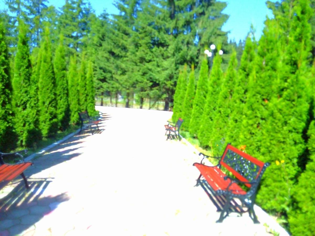Hotel Miraj - Restaurant & Sauna & Biliard Poiana Brasov Luaran gambar