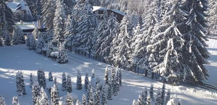 Hotel Miraj - Restaurant & Sauna & Biliard Poiana Brasov Luaran gambar