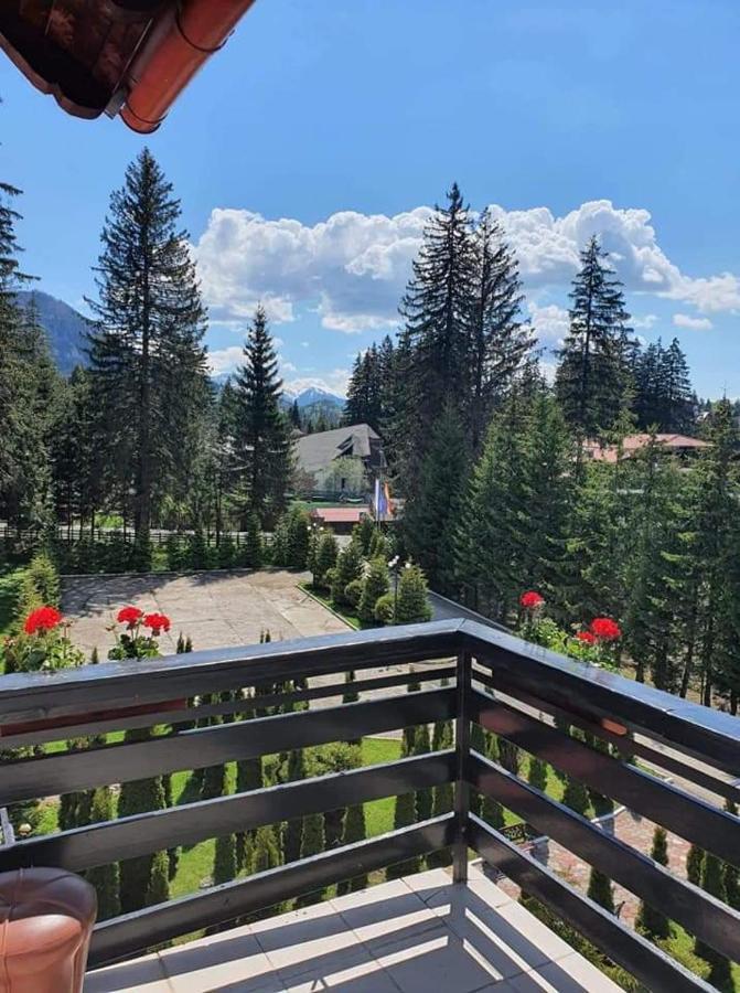Hotel Miraj - Restaurant & Sauna & Biliard Poiana Brasov Luaran gambar