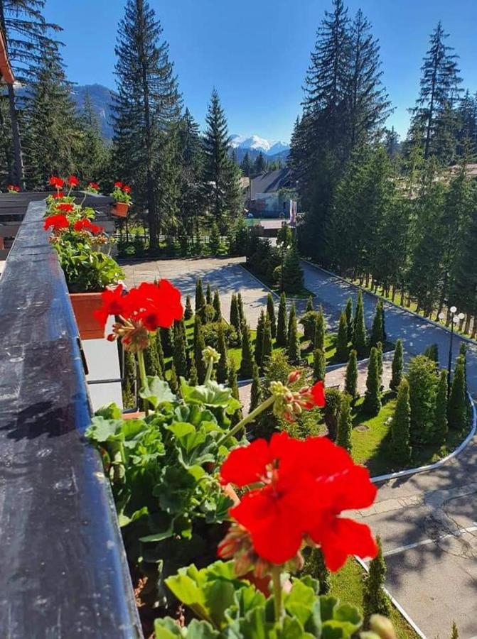 Hotel Miraj - Restaurant & Sauna & Biliard Poiana Brasov Luaran gambar